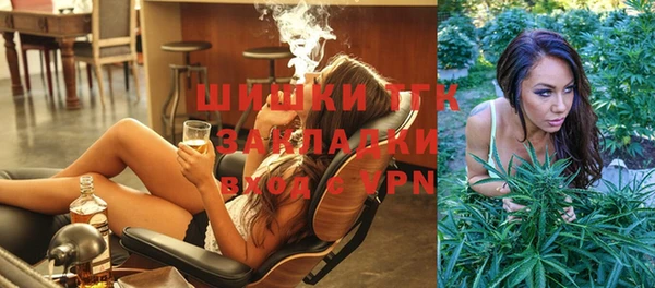 эйфоретик Алзамай